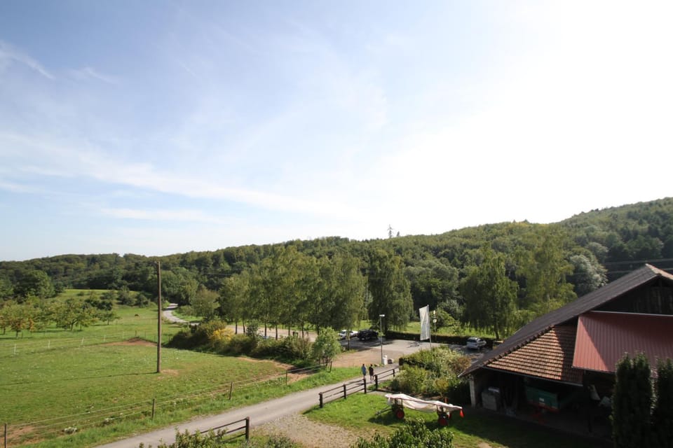 Natural landscape, Balcony/Terrace, Garden view