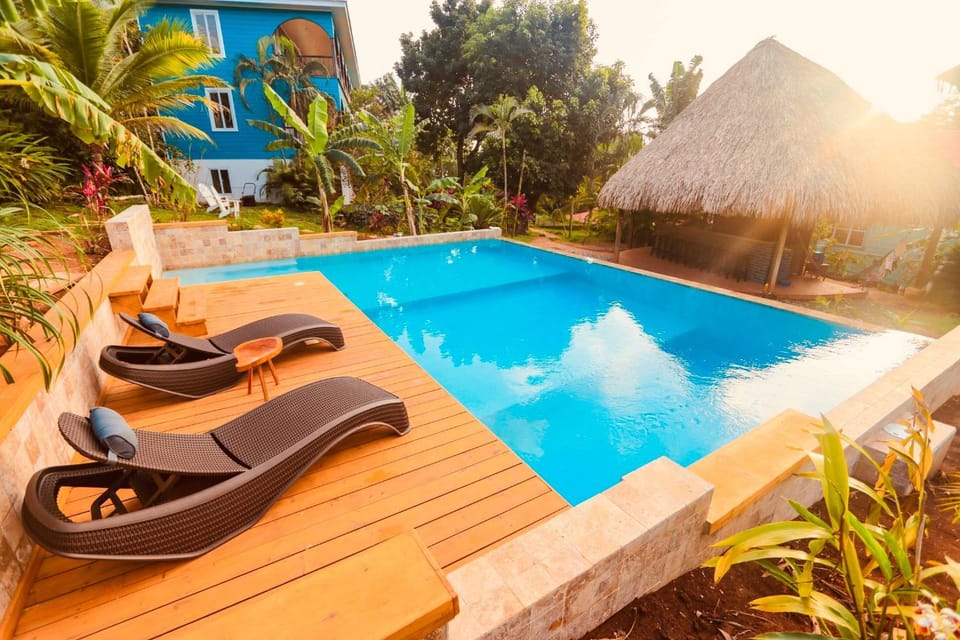 Garden, Swimming pool