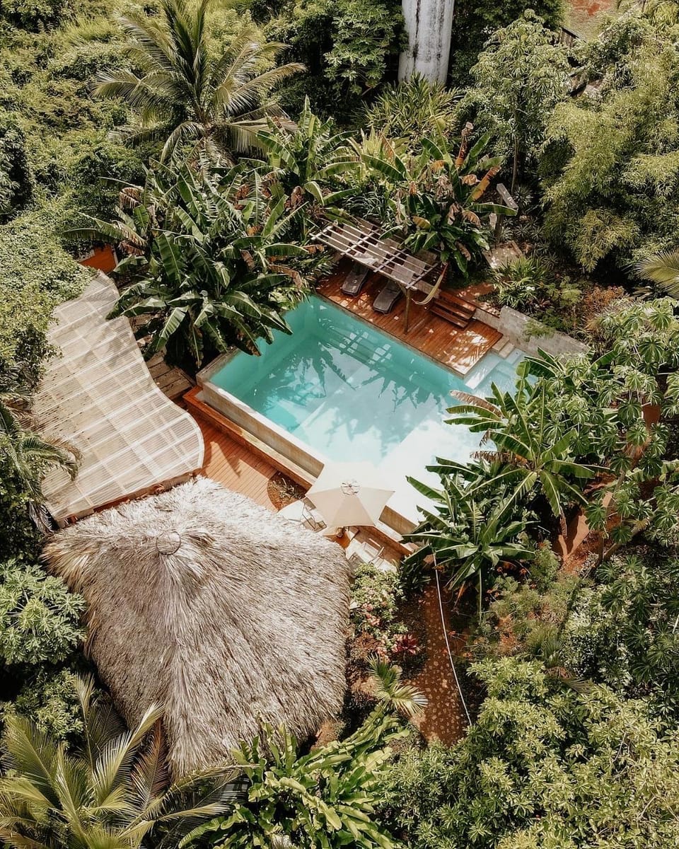 Garden, Swimming pool