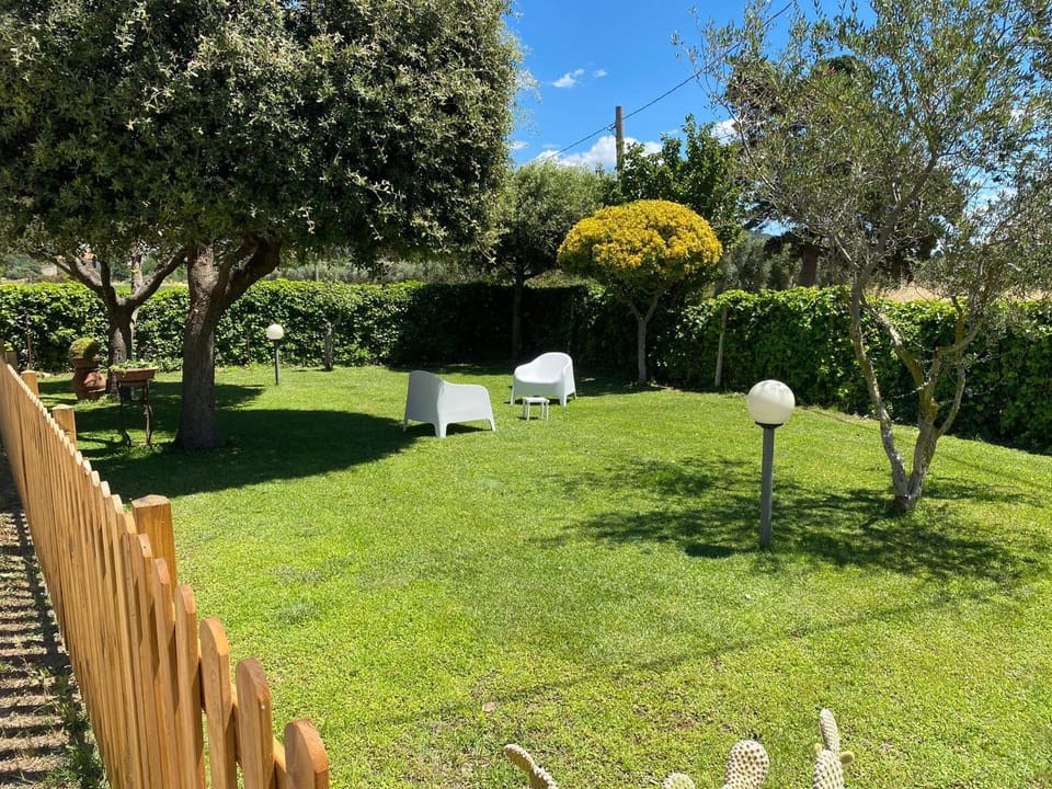 Spring, Day, Natural landscape, Garden, Garden view