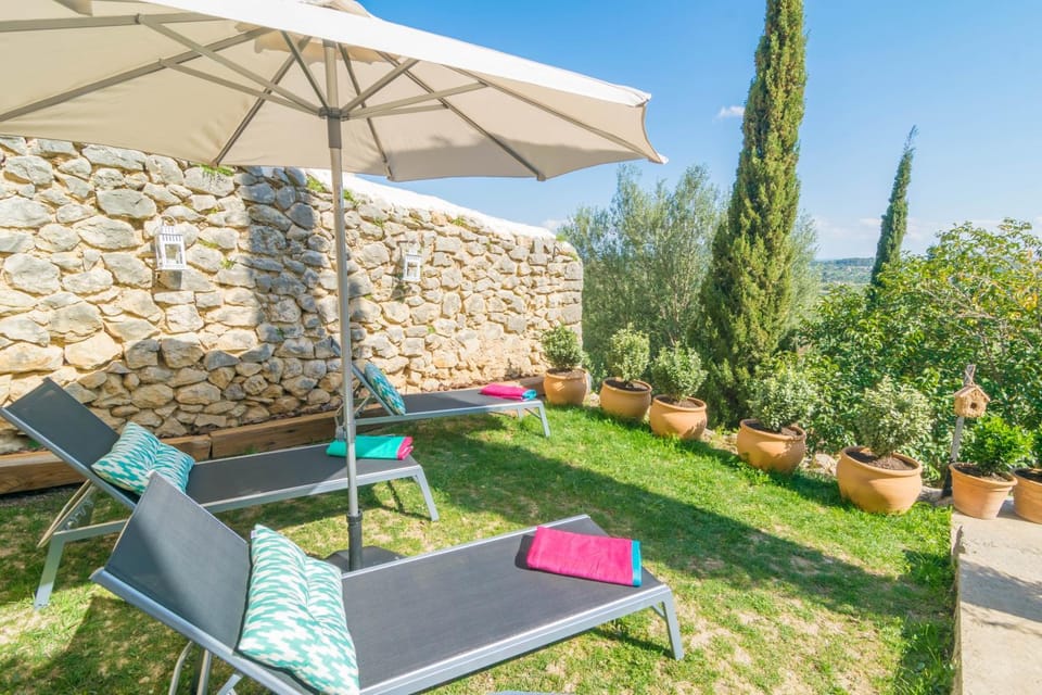 Patio, Garden