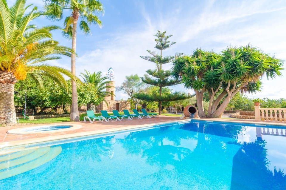Garden, Swimming pool