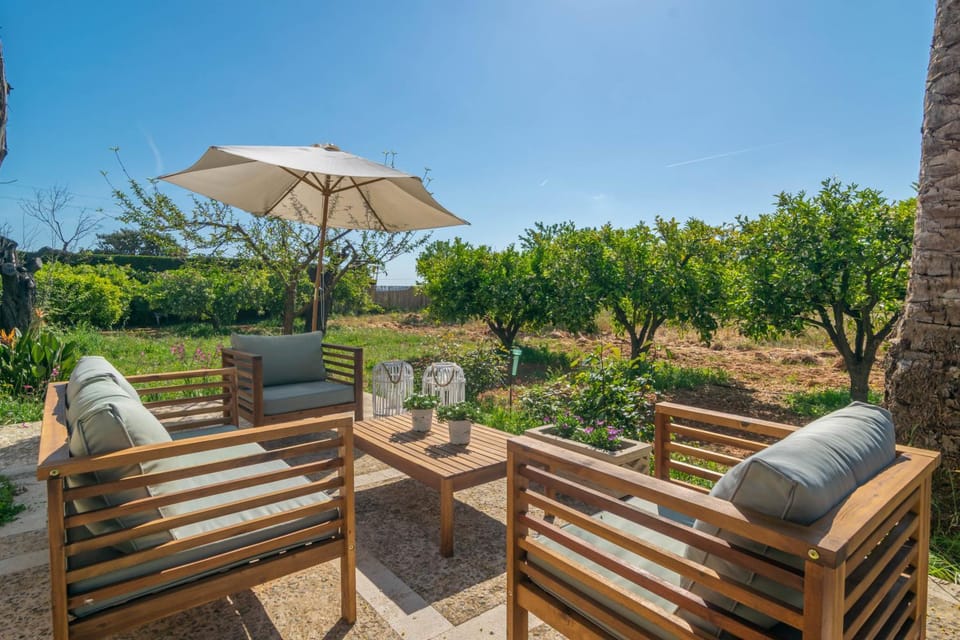 Patio, Garden view