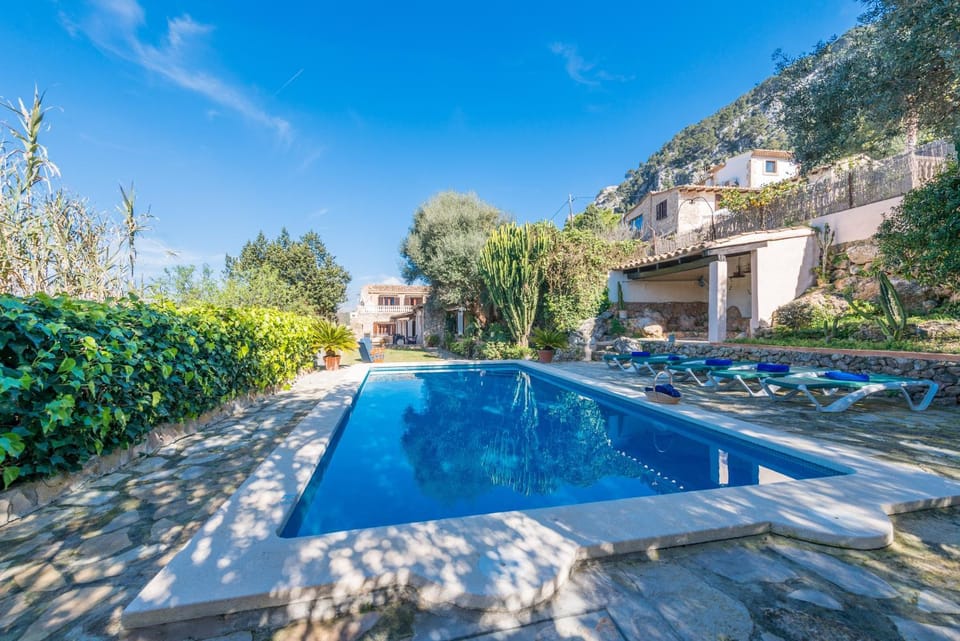 Garden, Swimming pool, Swimming pool