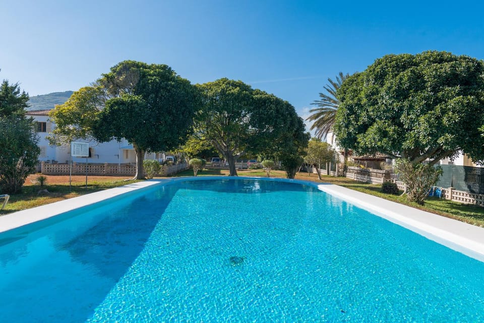 Garden, Swimming pool, Swimming pool