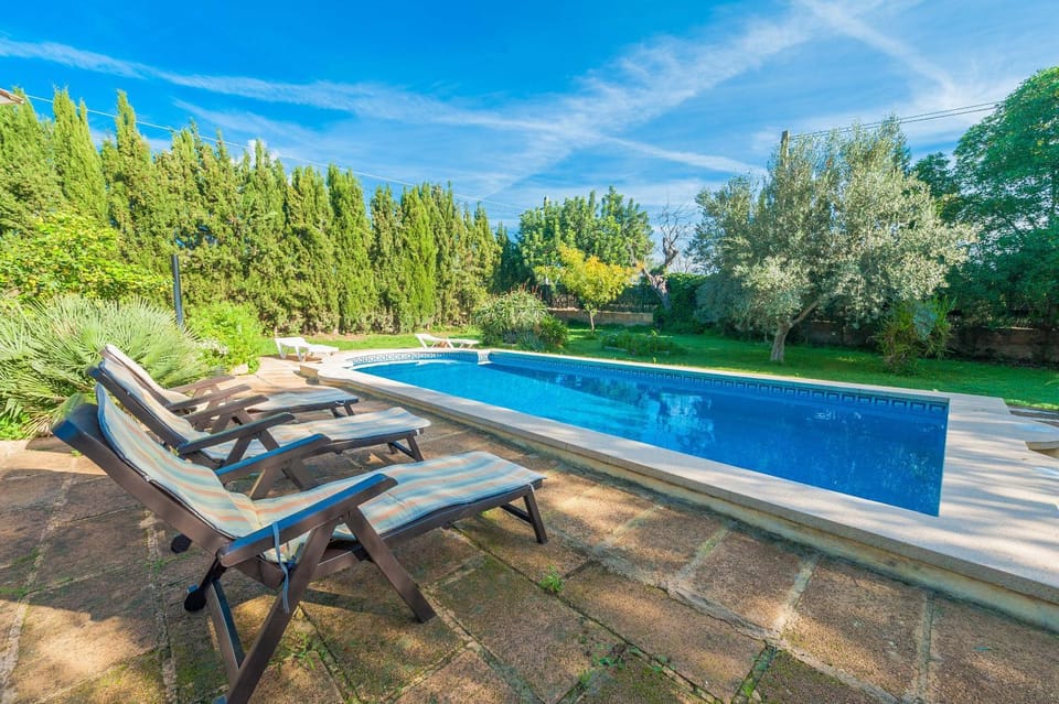 Garden, Swimming pool