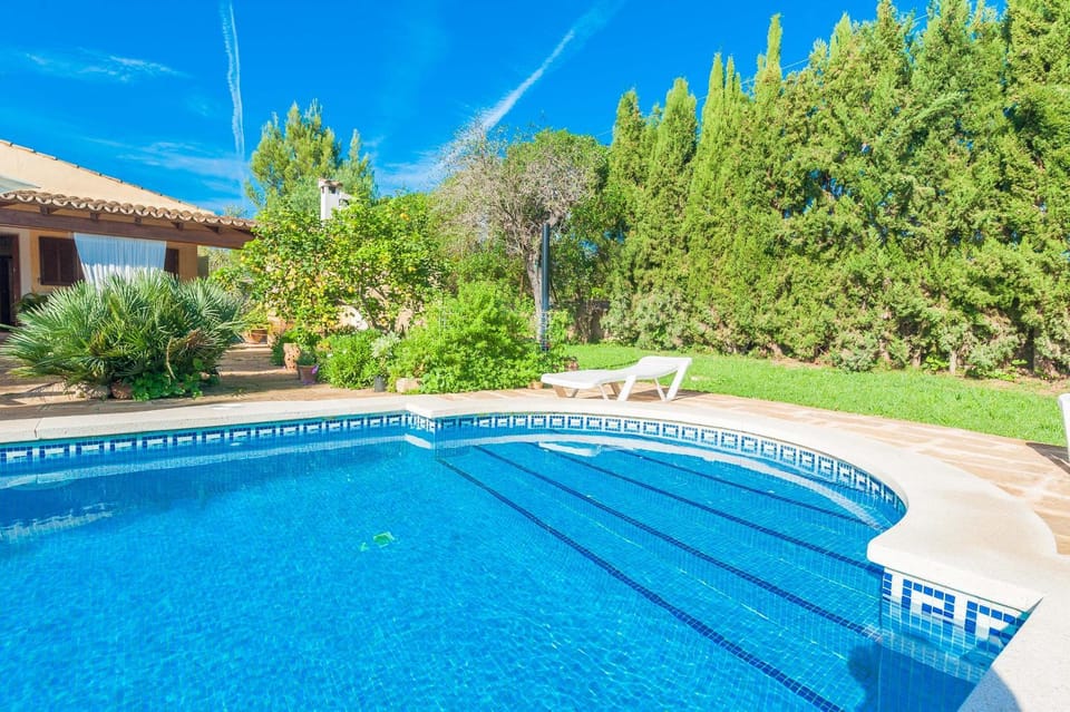 Garden, Swimming pool