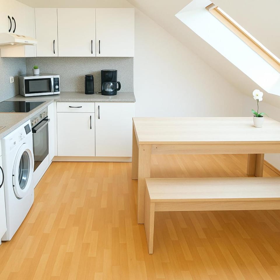 Kitchen or kitchenette, Dining area, oven, stove, washing machine