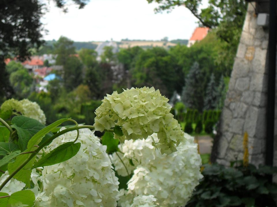 City view, Garden view, Landmark view, River view