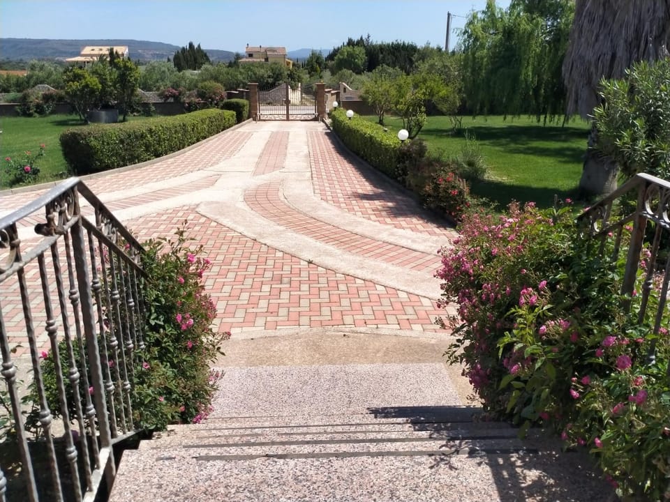 Day, Garden, Garden view
