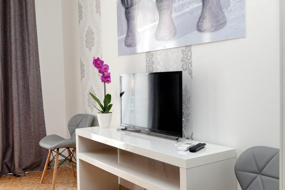 TV and multimedia