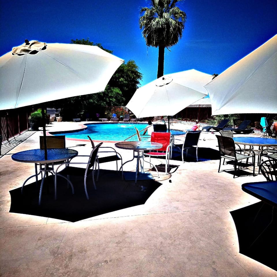Day, Pool view, Swimming pool, sunbed