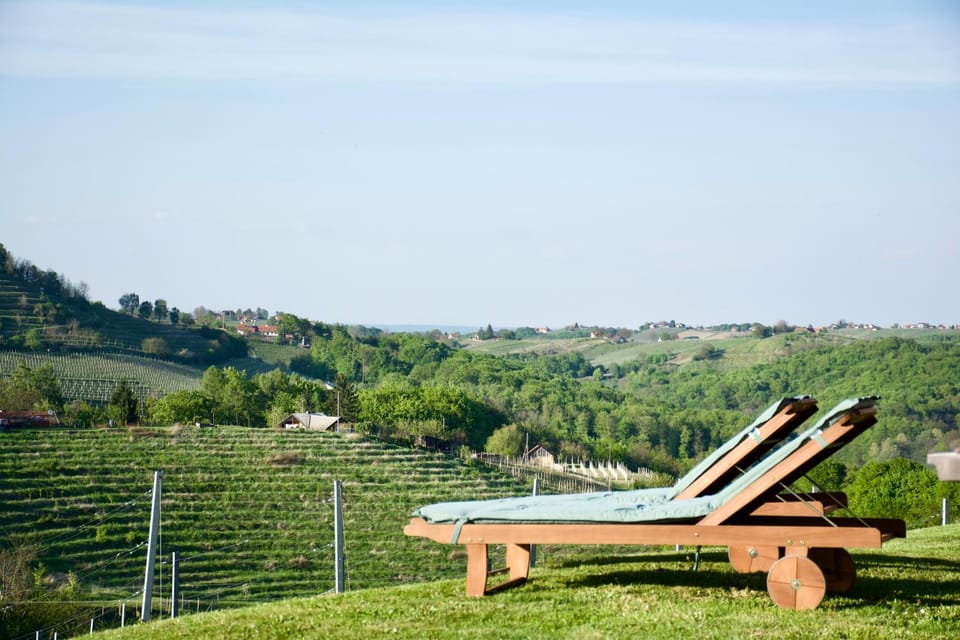 Patio, Spring, Day, Natural landscape, Garden, View (from property/room), On site, Garden view, Landmark view