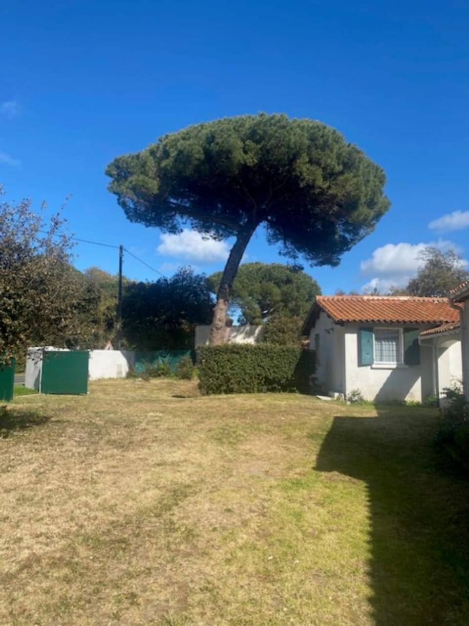 Garden, Parking