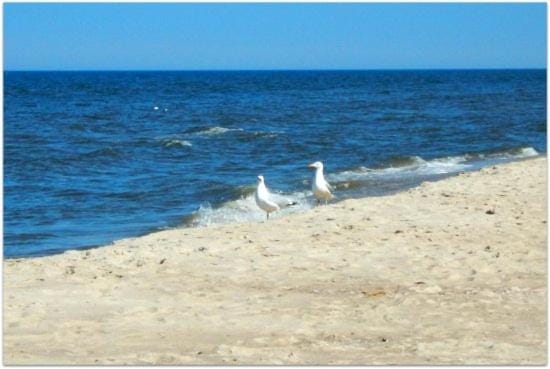 Bajkowe Domki House in West Pomeranian Voivodeship, Poland