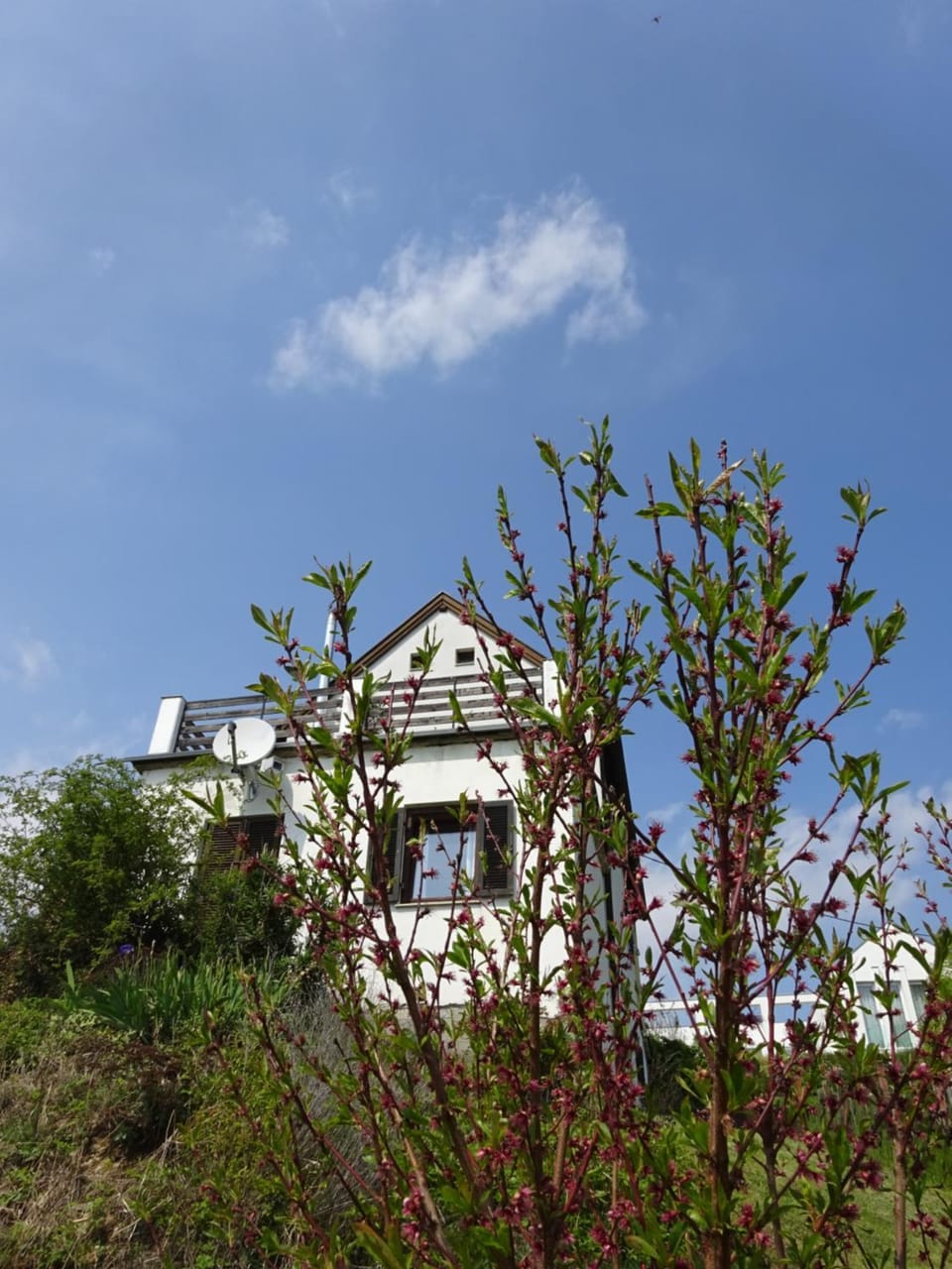 Property building, Spring