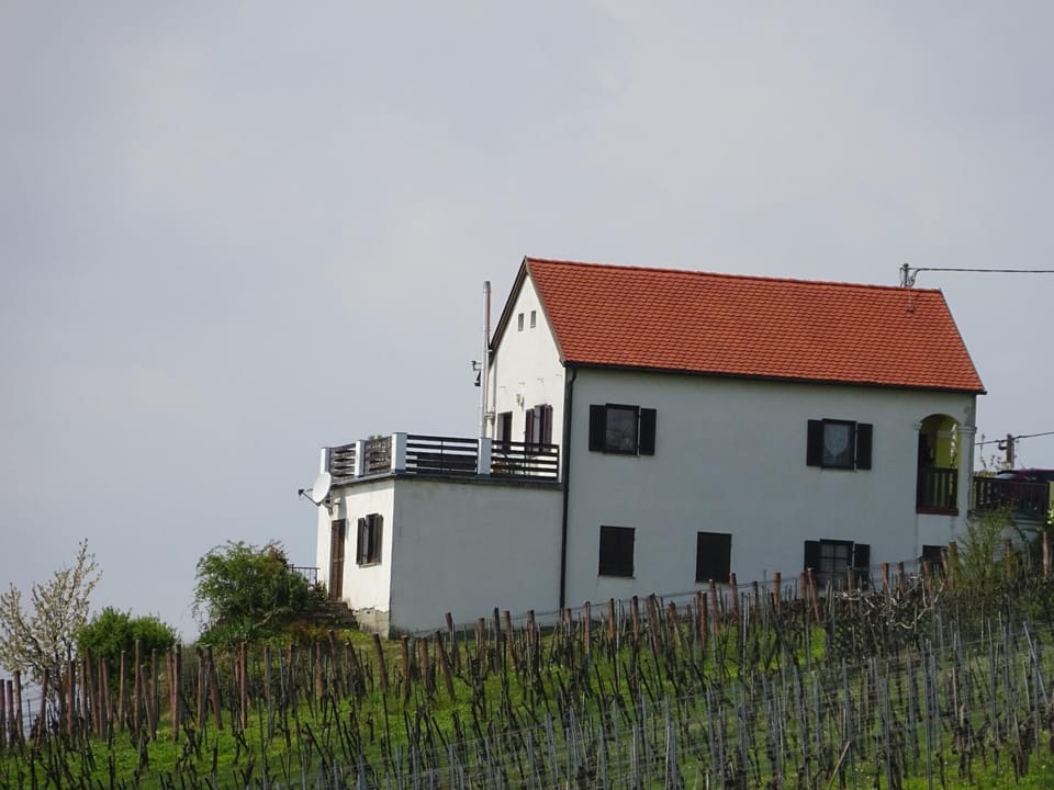 Property building, Spring