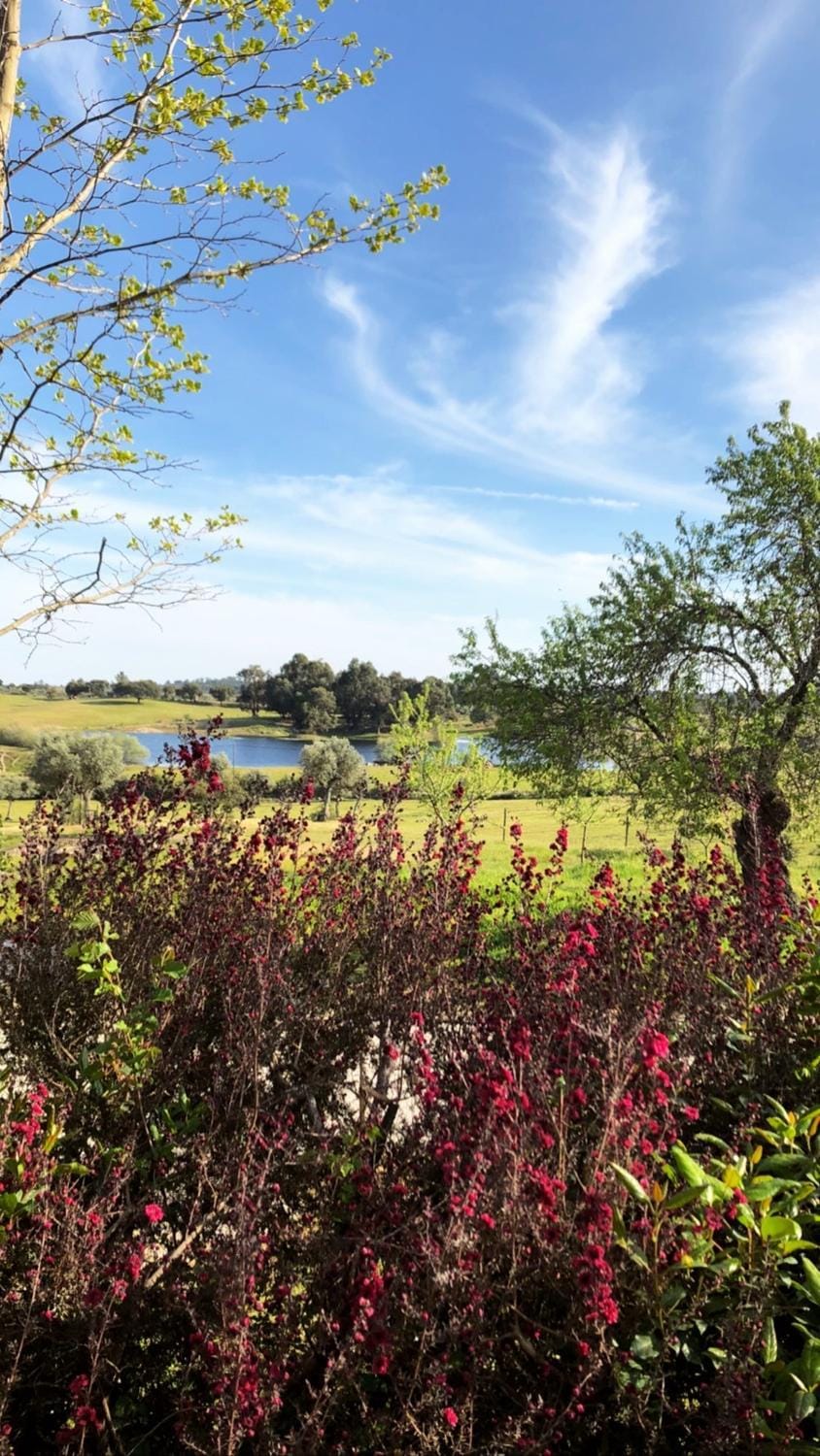Quinta da Alma Cheia Country House in Extremadura, Spain