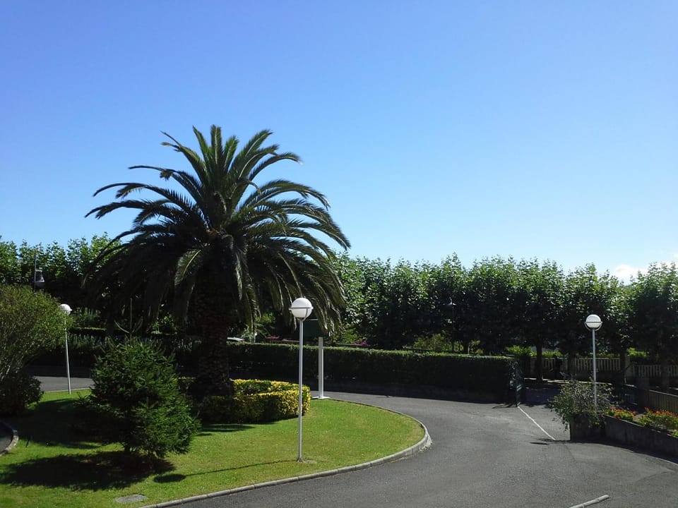 Garden, View (from property/room)