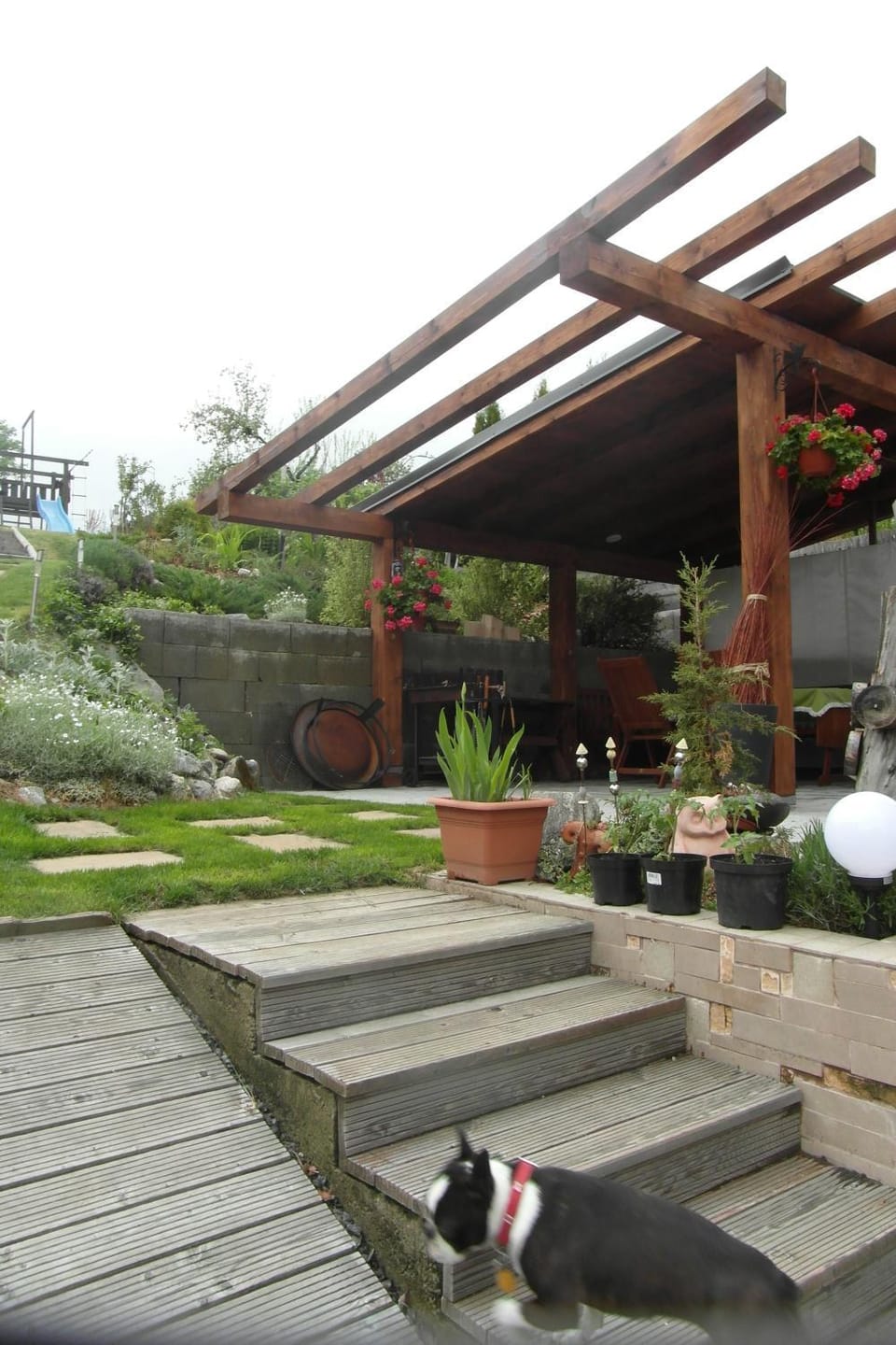 Garden, Pets