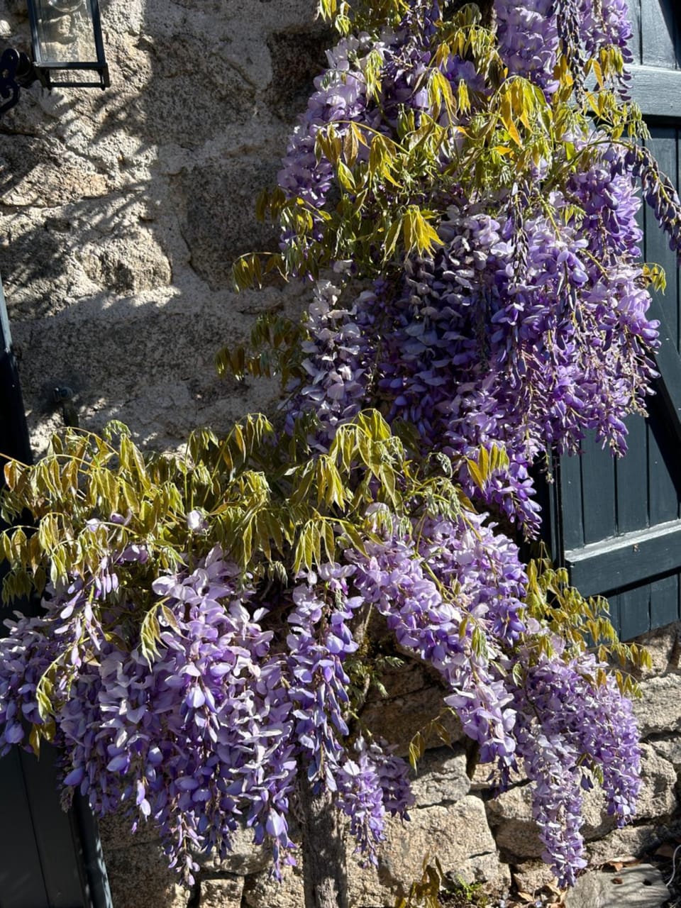 Le Moulin des Farges Bed and Breakfast in Auvergne-Rhône-Alpes