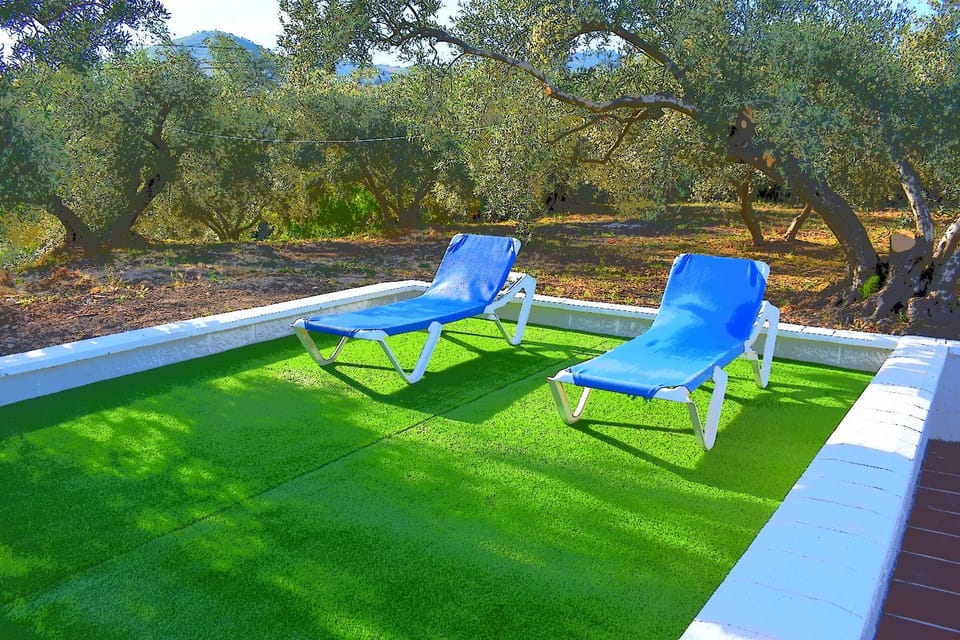 Patio, sunbed
