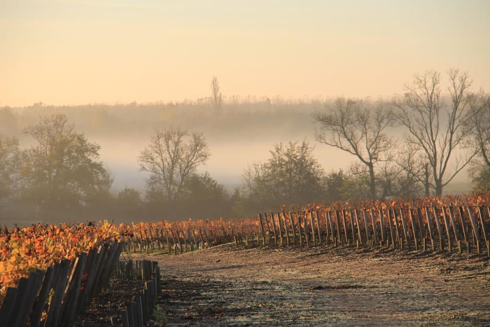 CHASSE-SPLEEN Les Chambres Bed and Breakfast in Nouvelle-Aquitaine