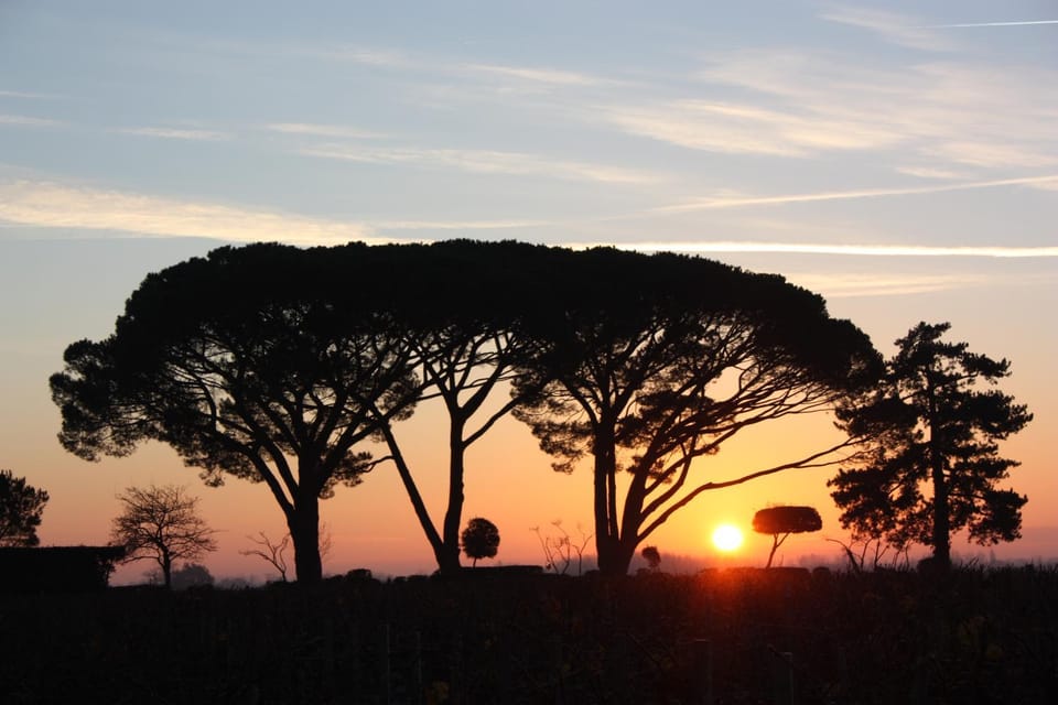 CHASSE-SPLEEN Les Chambres Bed and Breakfast in Nouvelle-Aquitaine
