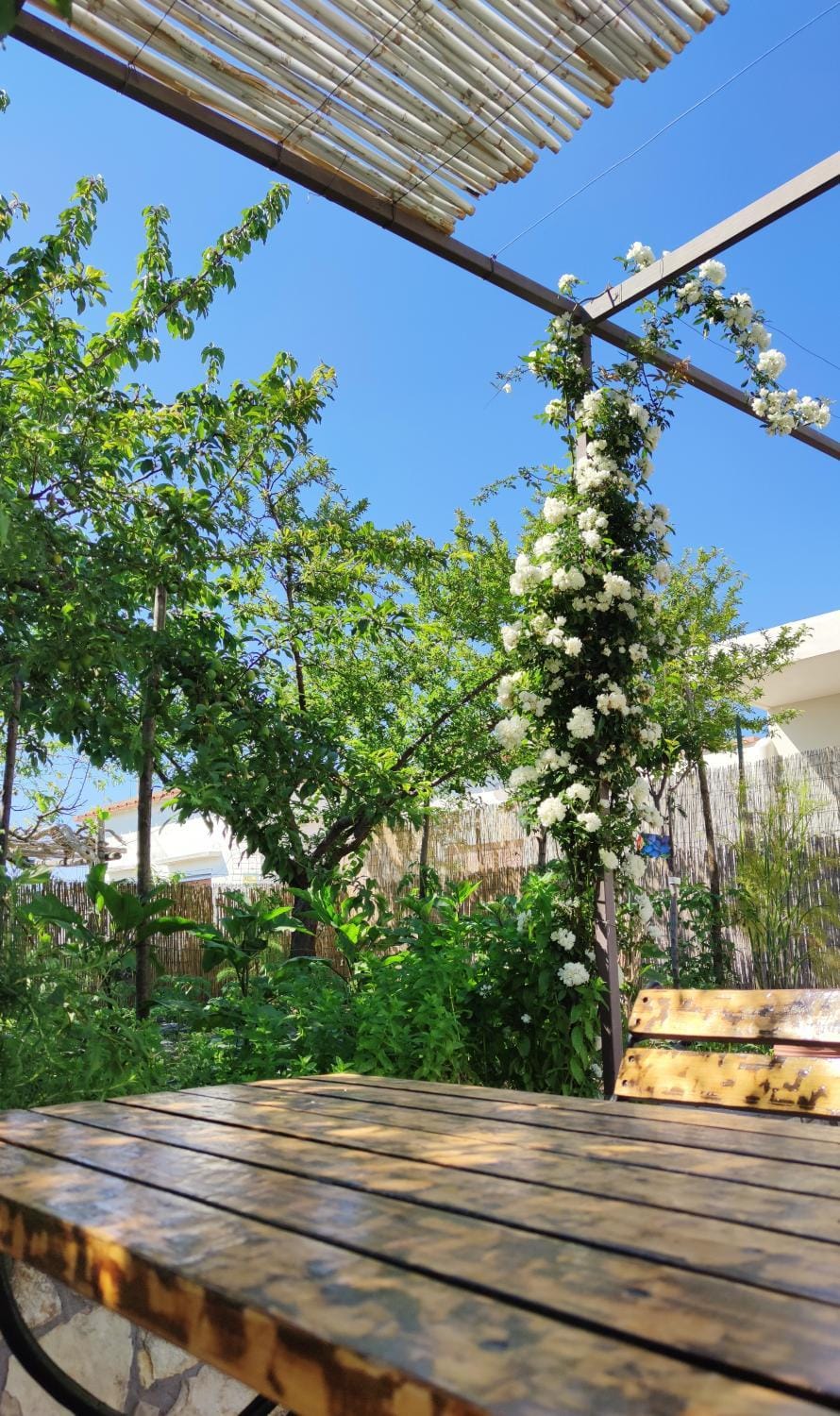 Spring, Summer, Garden, Seasons