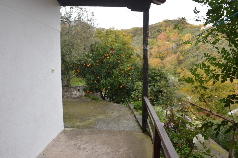 Balcony/Terrace, Garden view, Mountain view