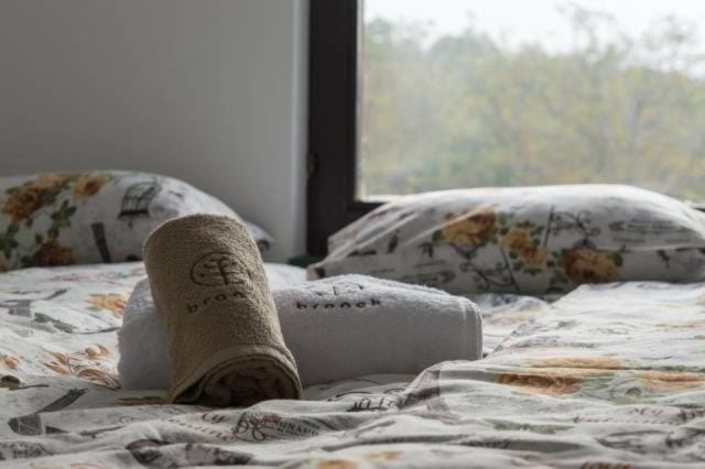 Branch Hostel in Serbia