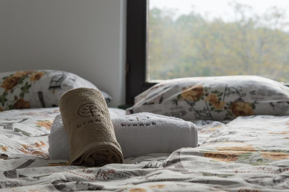 Bed, Photo of the whole room, Bedroom, towels