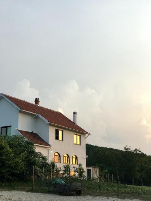 Property building, Day, Garden