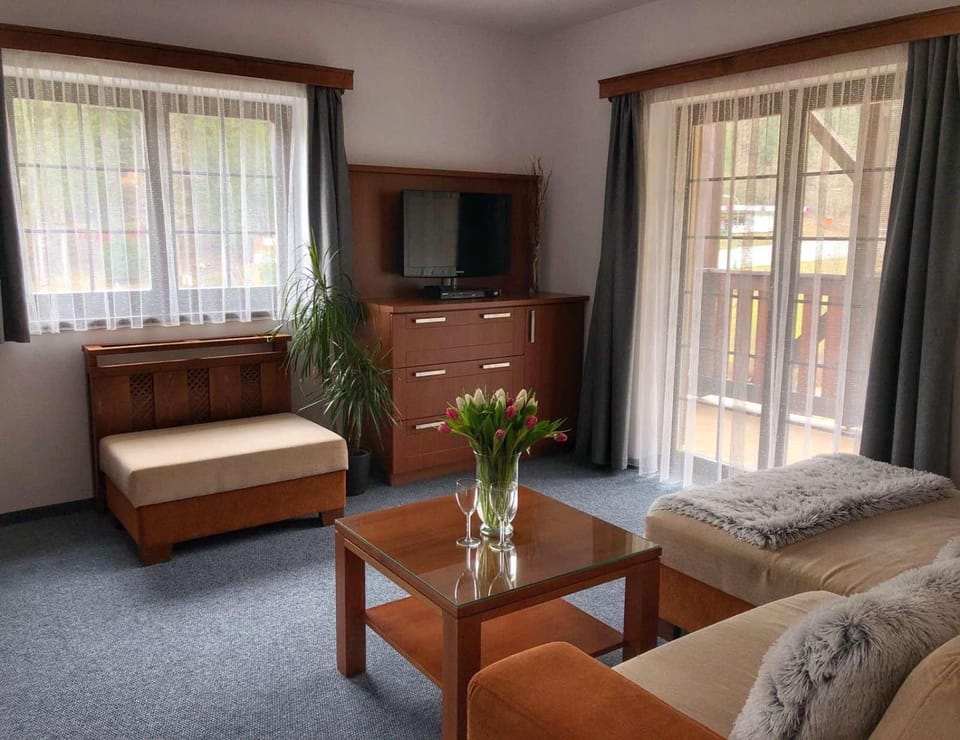 Apartmán Renáta 10 Apartment in Slovakia