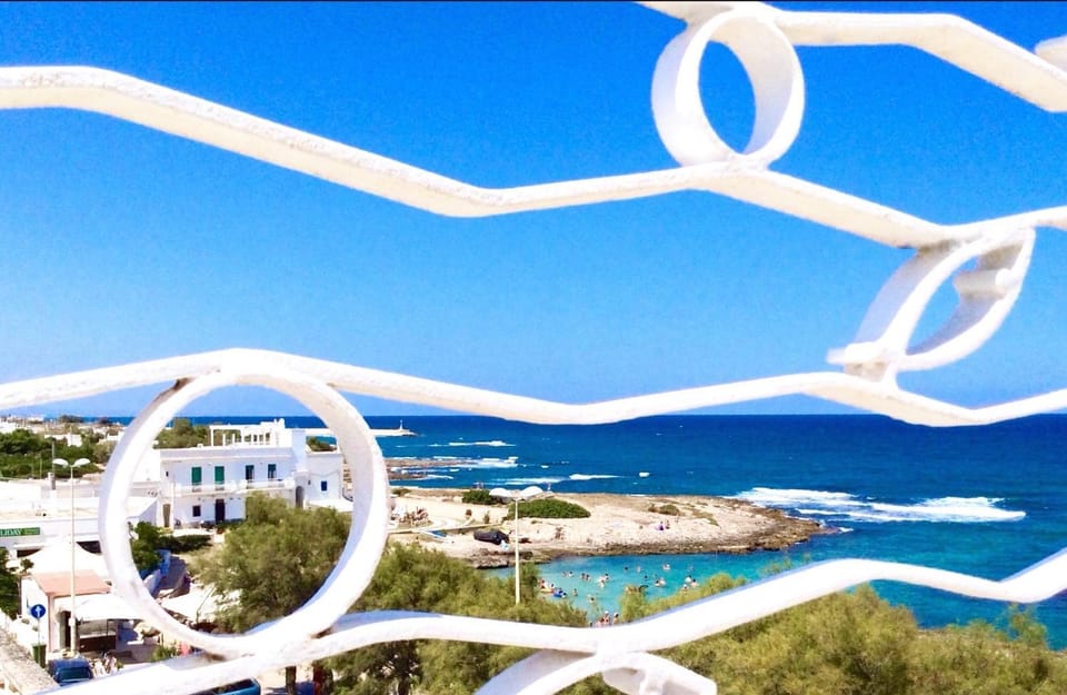 Bird's eye view, Snorkeling, Beach, Sea view, Sports, Entertainment
