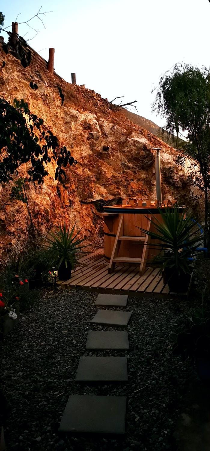 Day, Garden, Hot Tub, Garden view