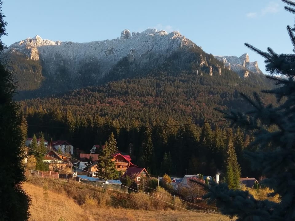 Mountain view