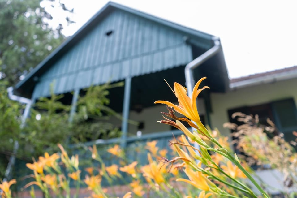 Property building, Spring, Day, Garden, Garden, Garden view