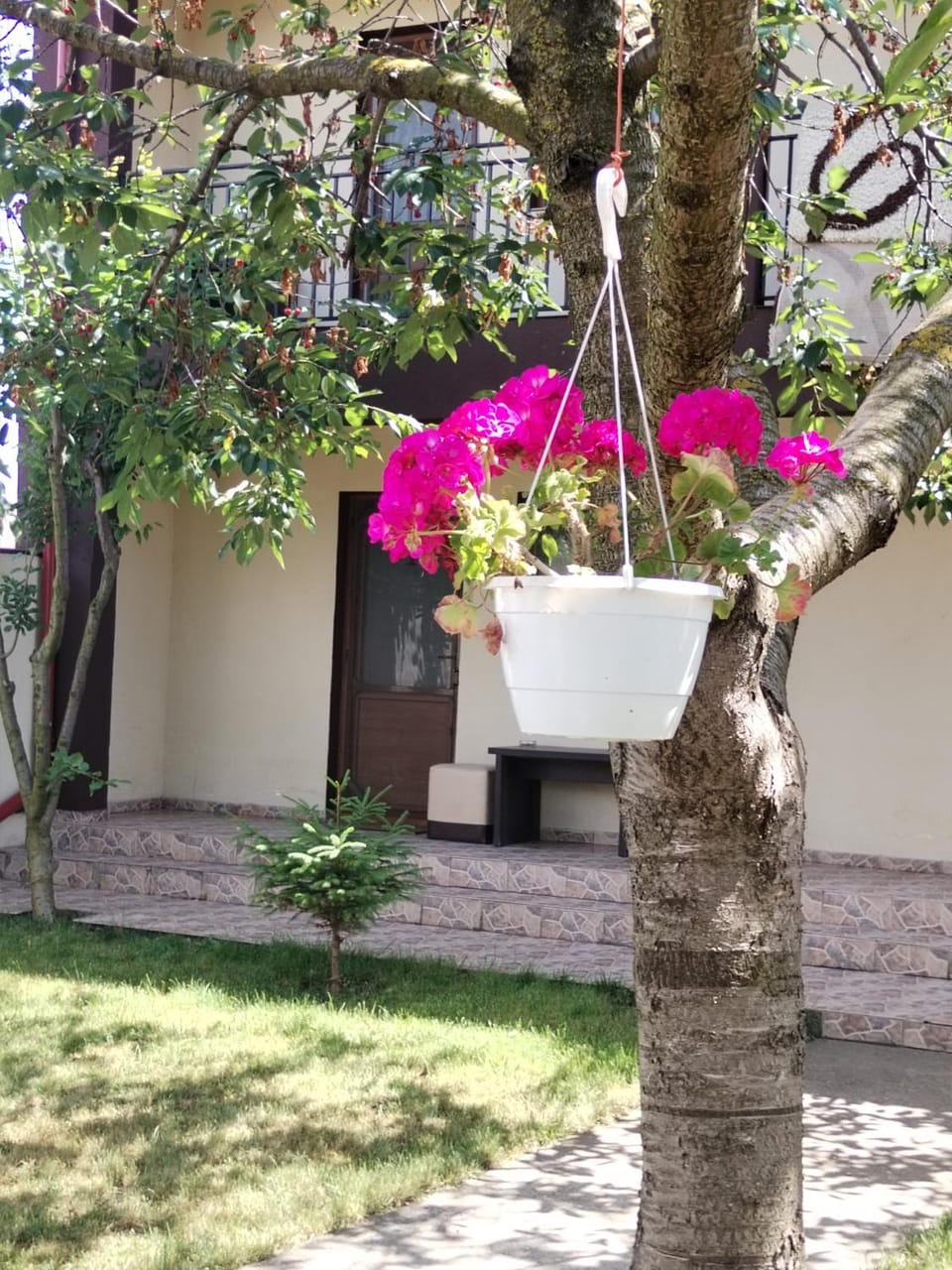 La Babusca Bed and Breakfast in Dobrich Province, Bulgaria