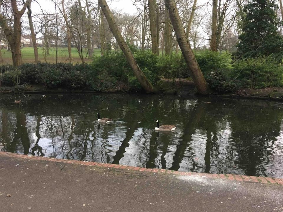 Superb Peaceful 1 bed apartment in St George. Apartment in Bristol