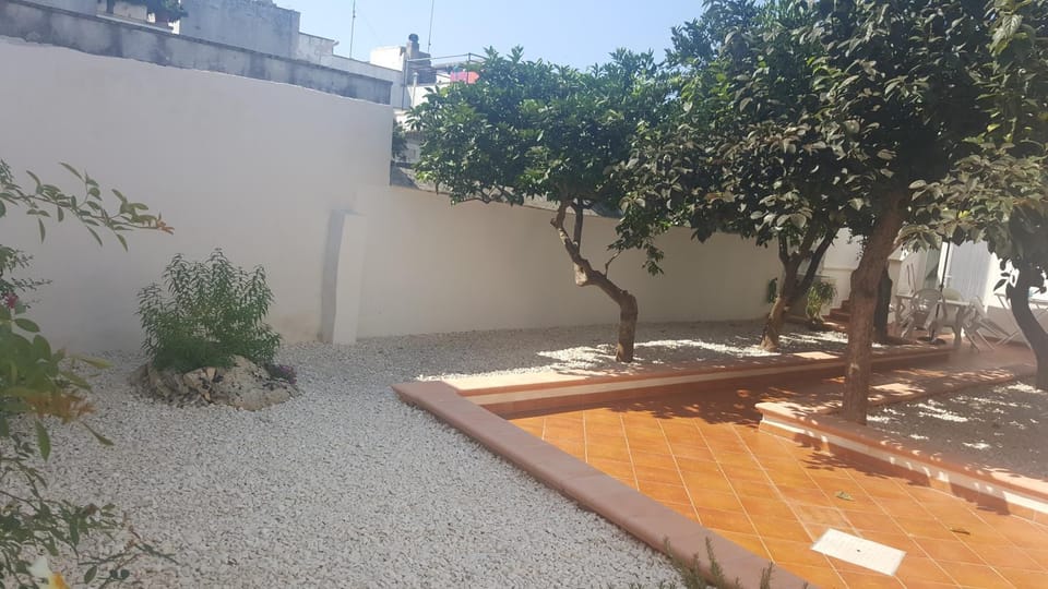 Garden, Garden view, Inner courtyard view