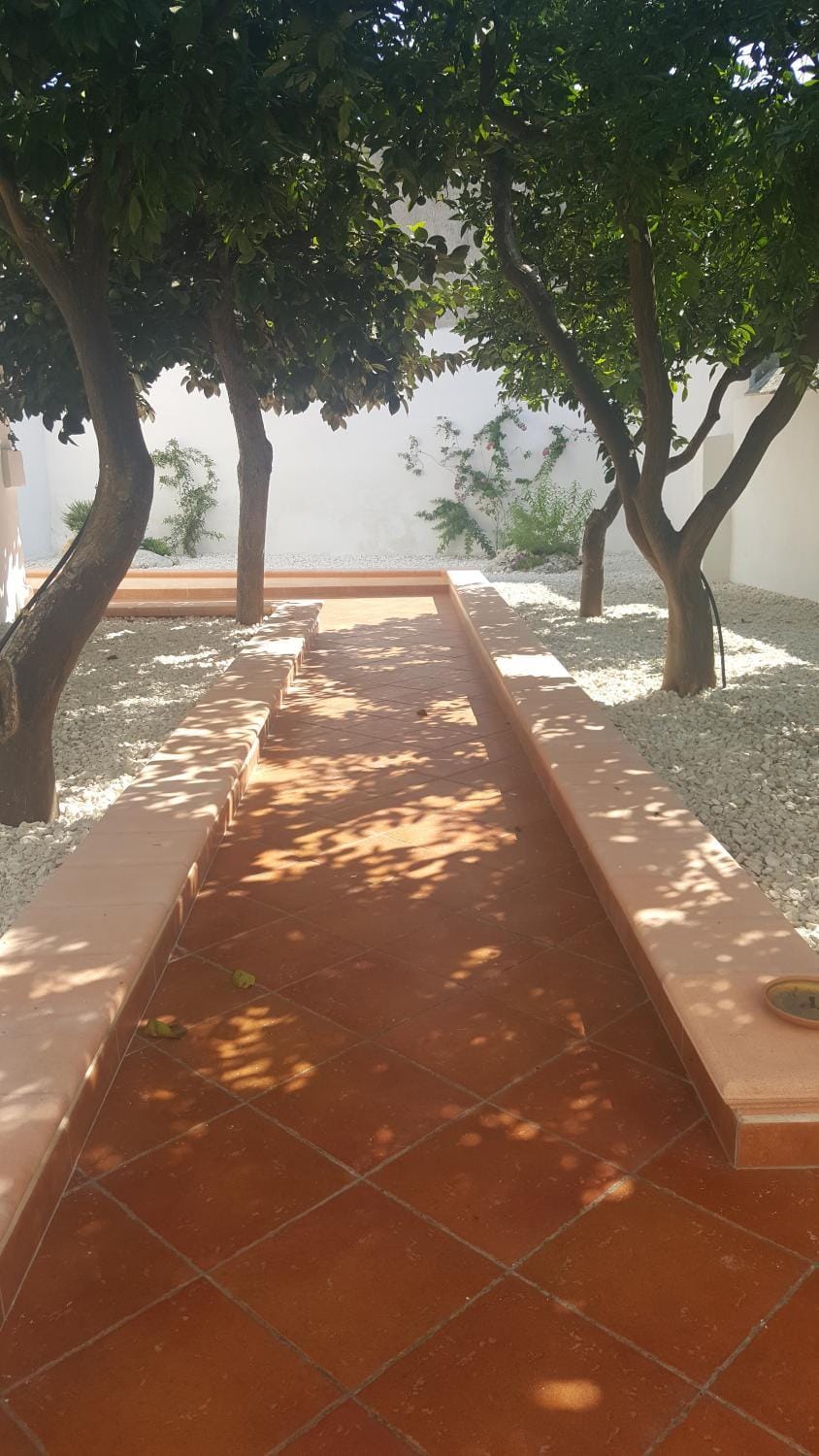 Garden, Garden view, Inner courtyard view