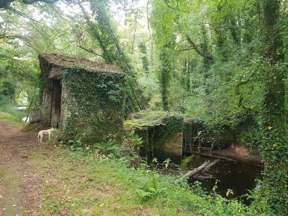 Natural landscape