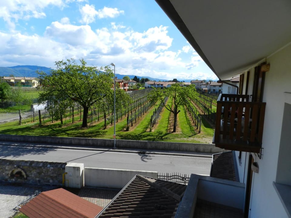 View (from property/room)