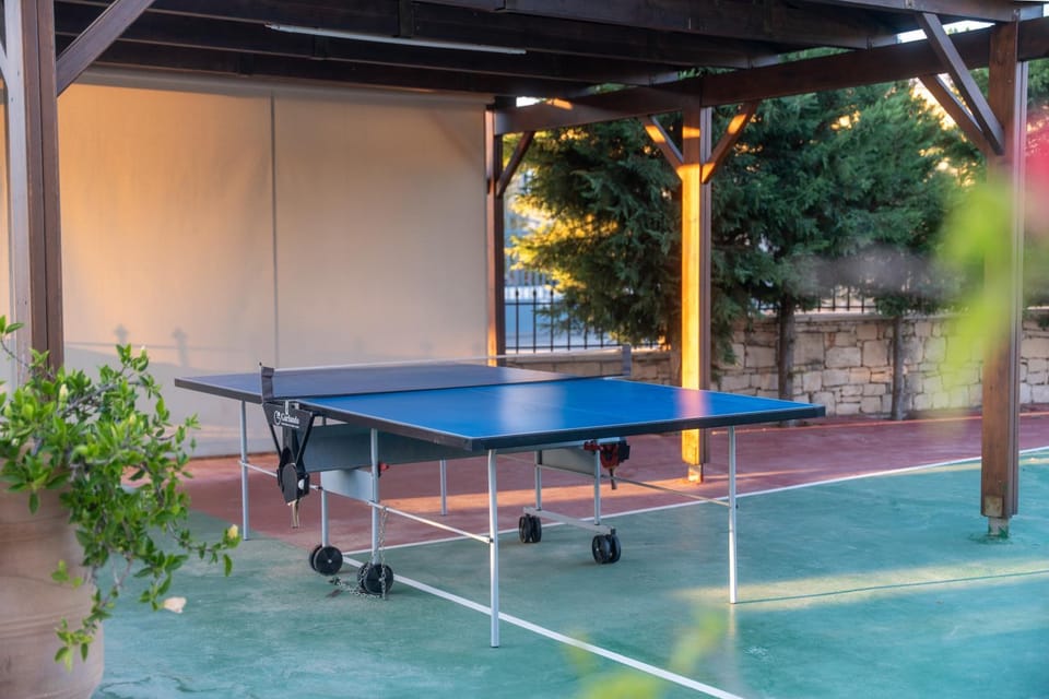 Table tennis