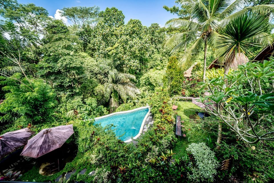 Day, Natural landscape, Garden, Garden view, Pool view, Swimming pool