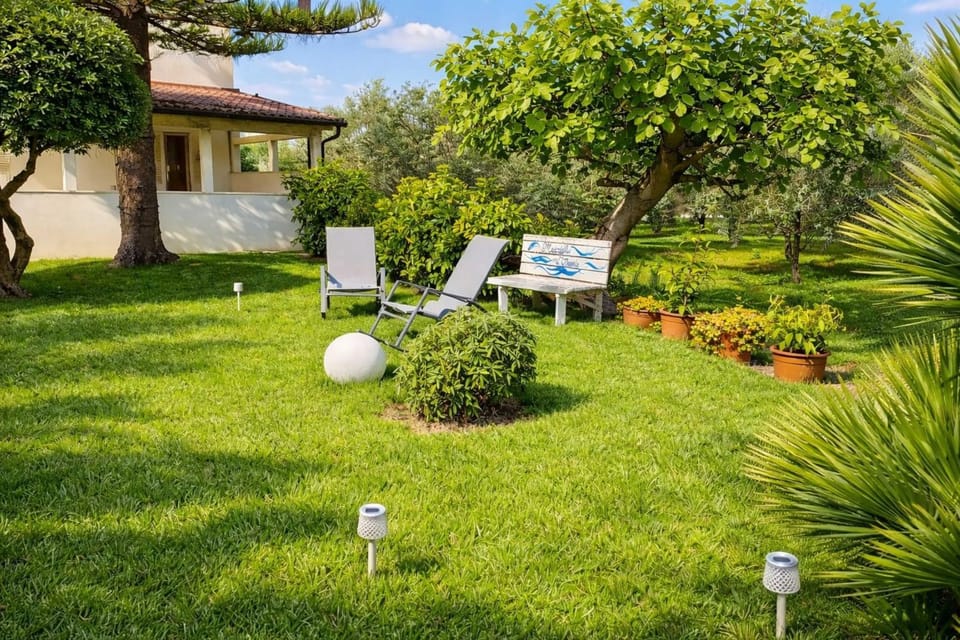 Property building, Day, Garden, Garden view