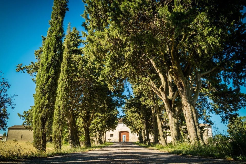Garden view, Street view