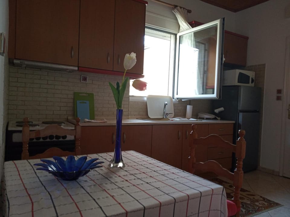 Kitchen or kitchenette, Photo of the whole room, Dining area, stove