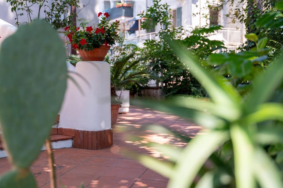 Garden, Garden view